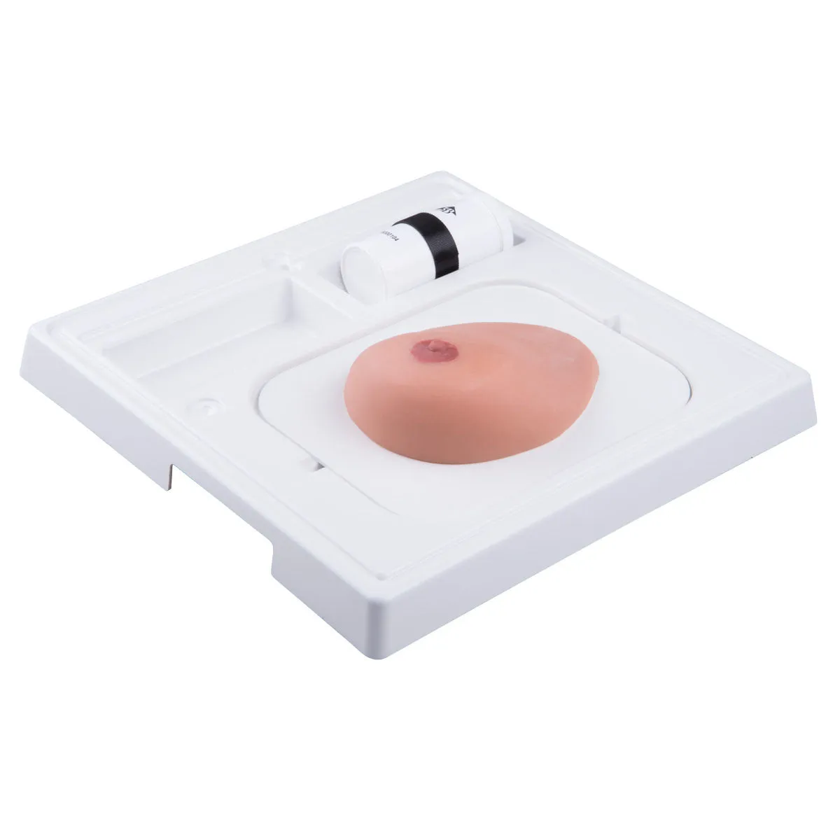 3B Scientific P124 Sonotrain Breast Model With Cysts