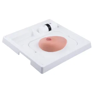 3B Scientific P124 Sonotrain Breast Model With Cysts