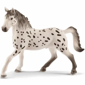 Knapstrupper Stallion