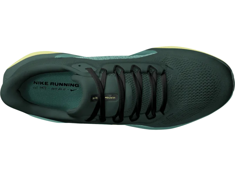 Men's Nike Pegasus 41 - Everyday Trainer