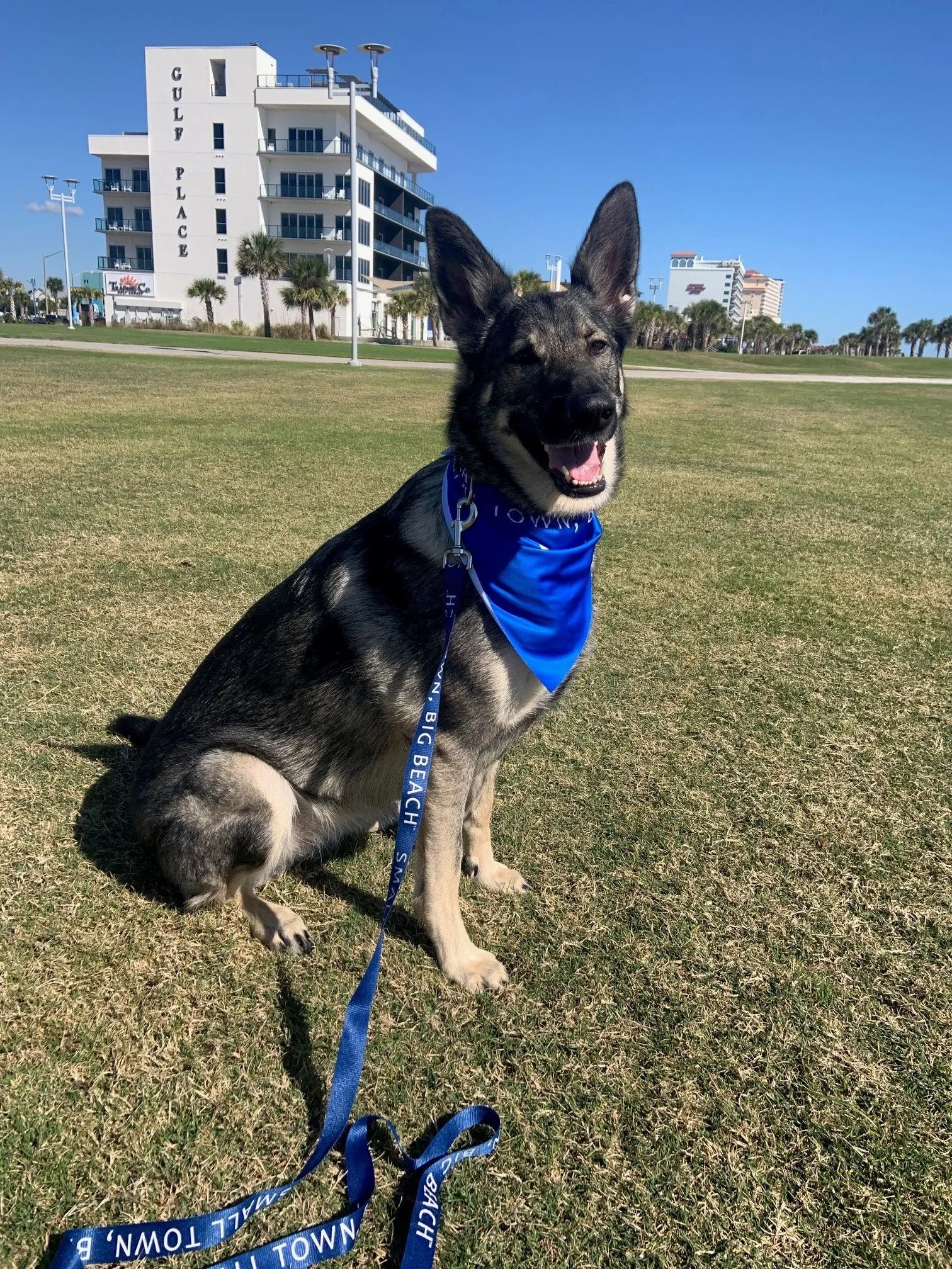 SMALL TOWN, BIG BEACH™ Dog Leash